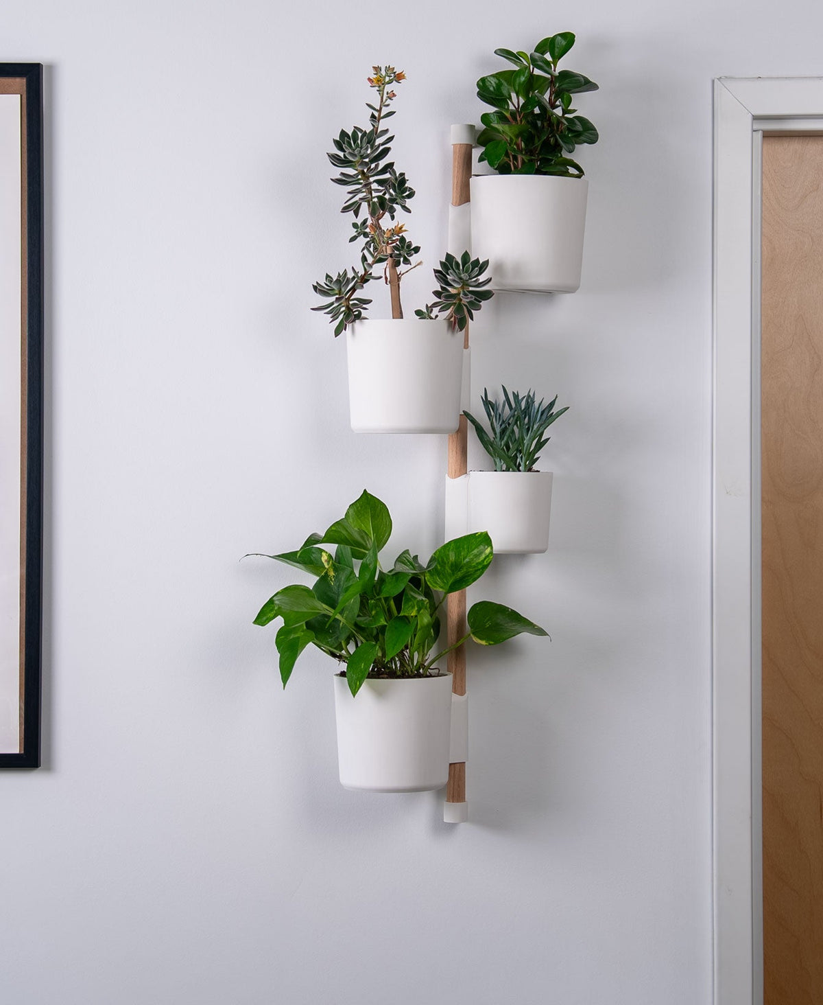 Wall Rail System
